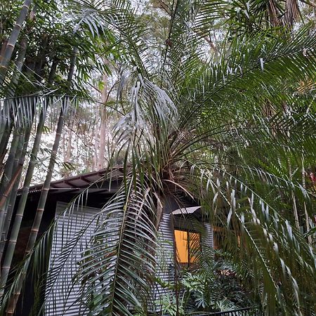 Bed and Breakfast Alaya Escape Eudlo Exterior foto