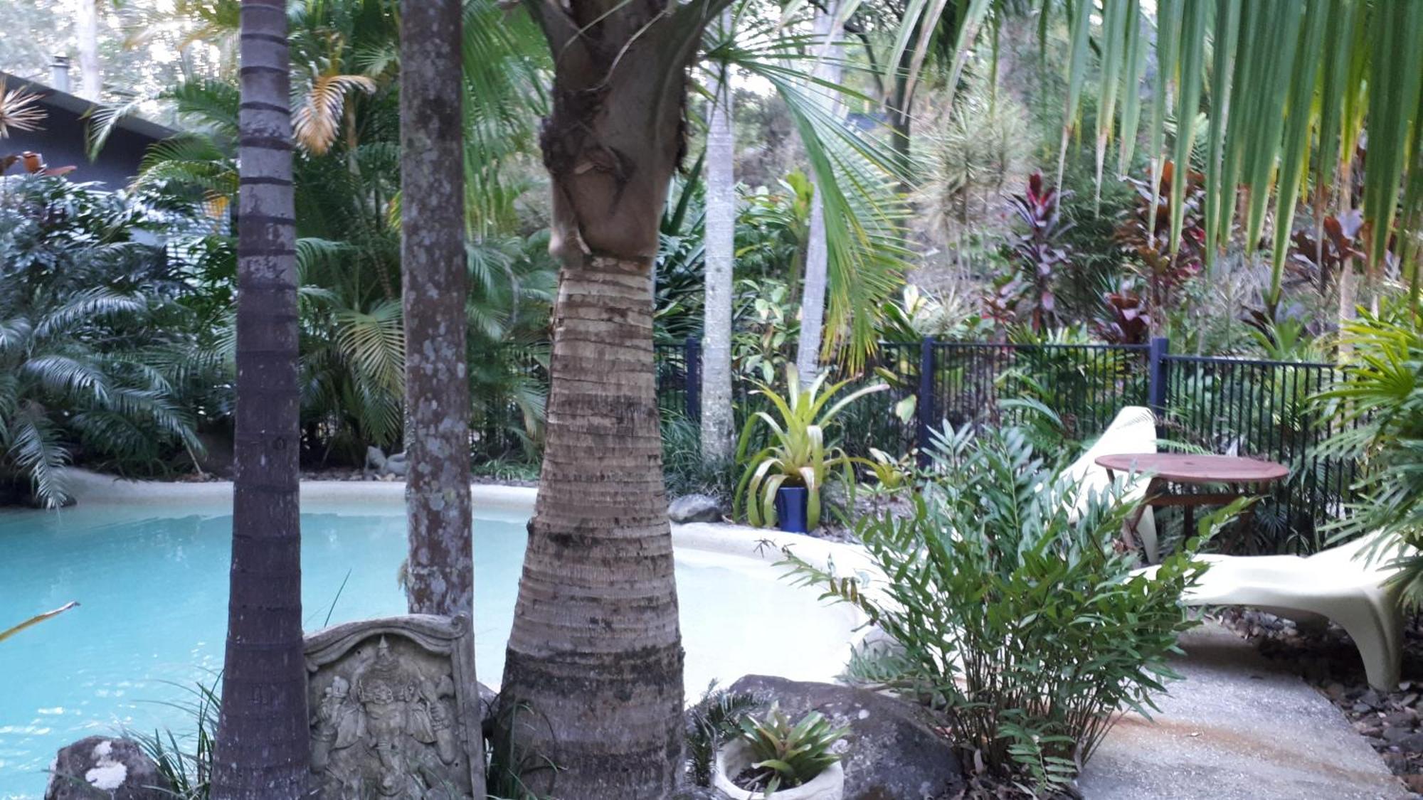 Bed and Breakfast Alaya Escape Eudlo Exterior foto