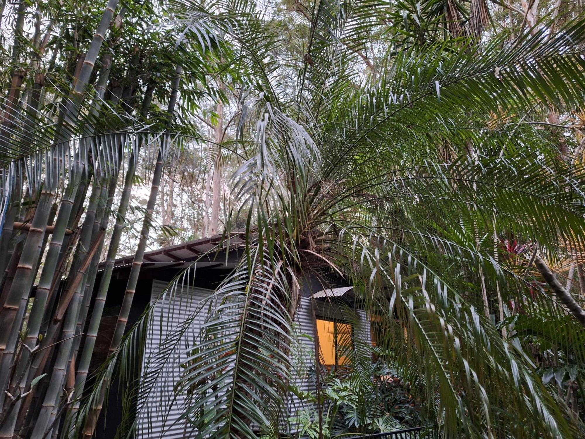 Bed and Breakfast Alaya Escape Eudlo Exterior foto