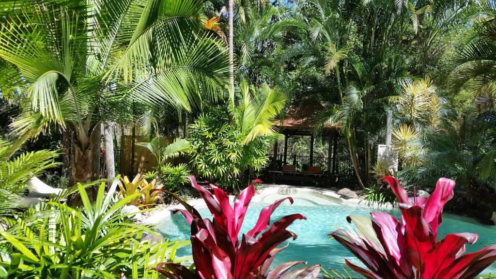 Bed and Breakfast Alaya Escape Eudlo Exterior foto
